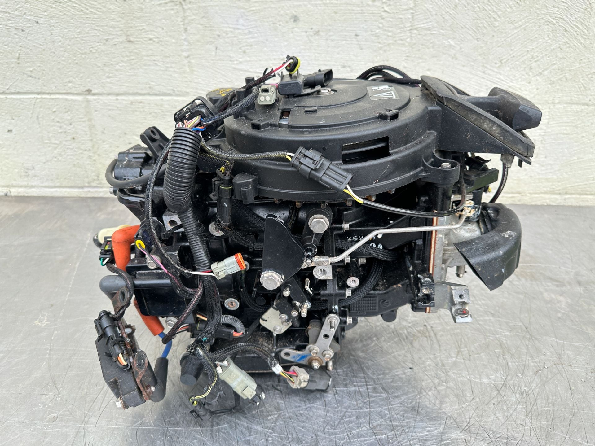 2013 Evinrude 30 HP 2 Stroke Outboard Powerhead 5008167 OEM