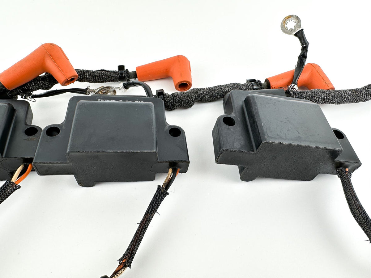 2017 Evinrude 115 HP 2 Stroke Outboard Ignition Coil Set 0586980 OEM