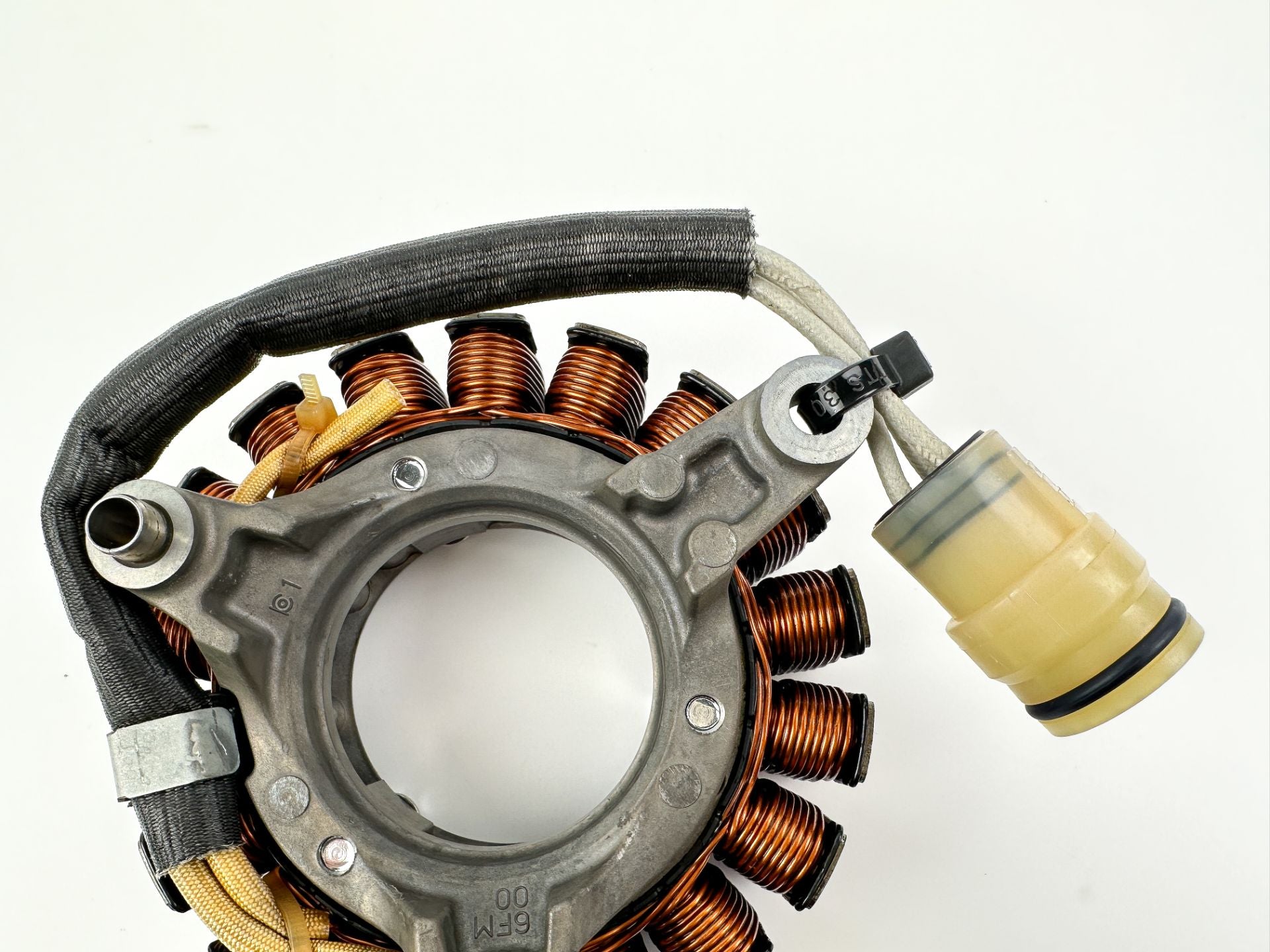 2018 Yamaha 25 HP 4 Stroke Outboard Stator Assembly 6FM-81410-00-00 OEM