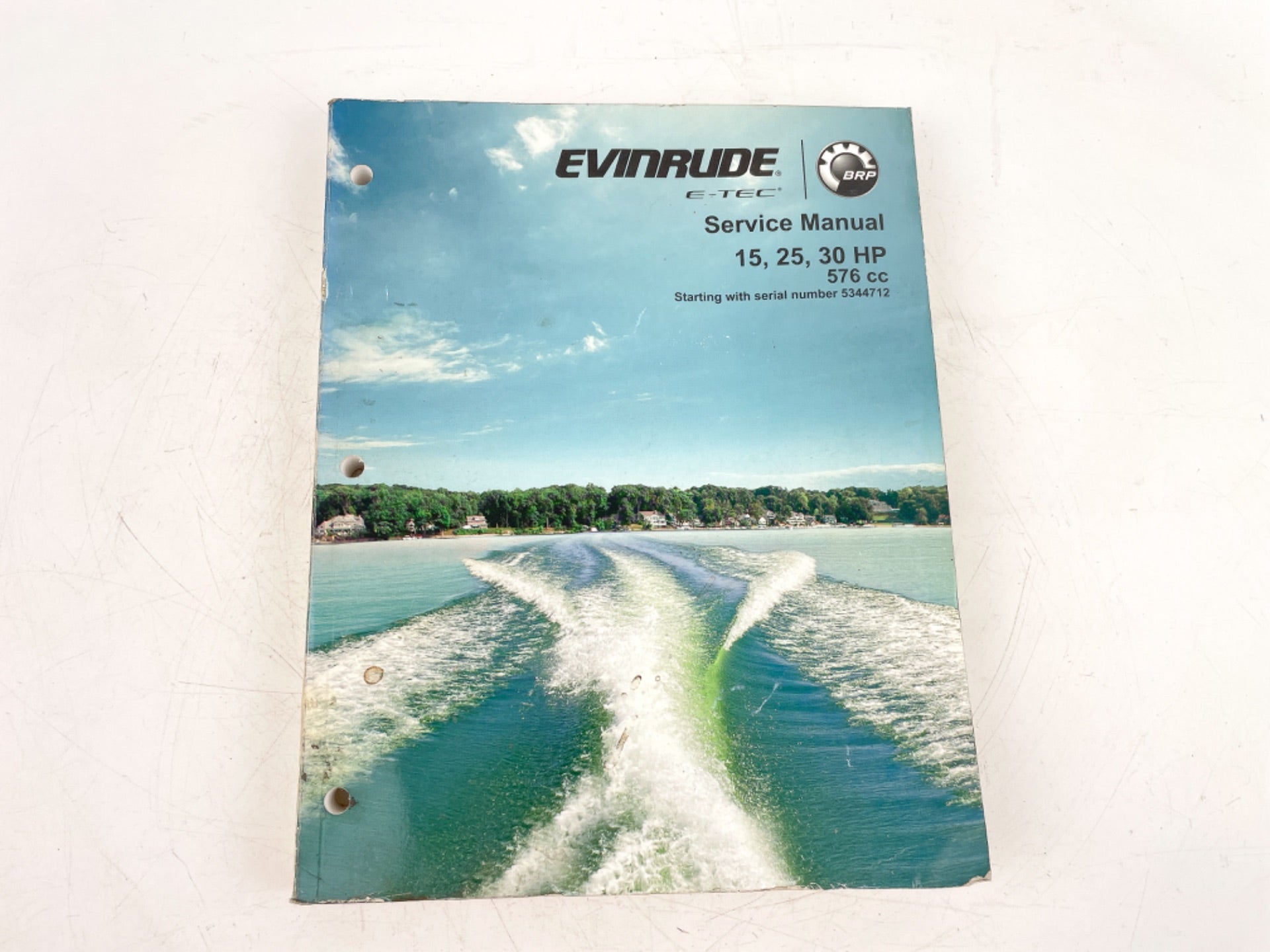 OEM EVINRUDE OUTBOARD SERVICE MANUAL FOR 15, 25, 30 HP 576 CC 5009001