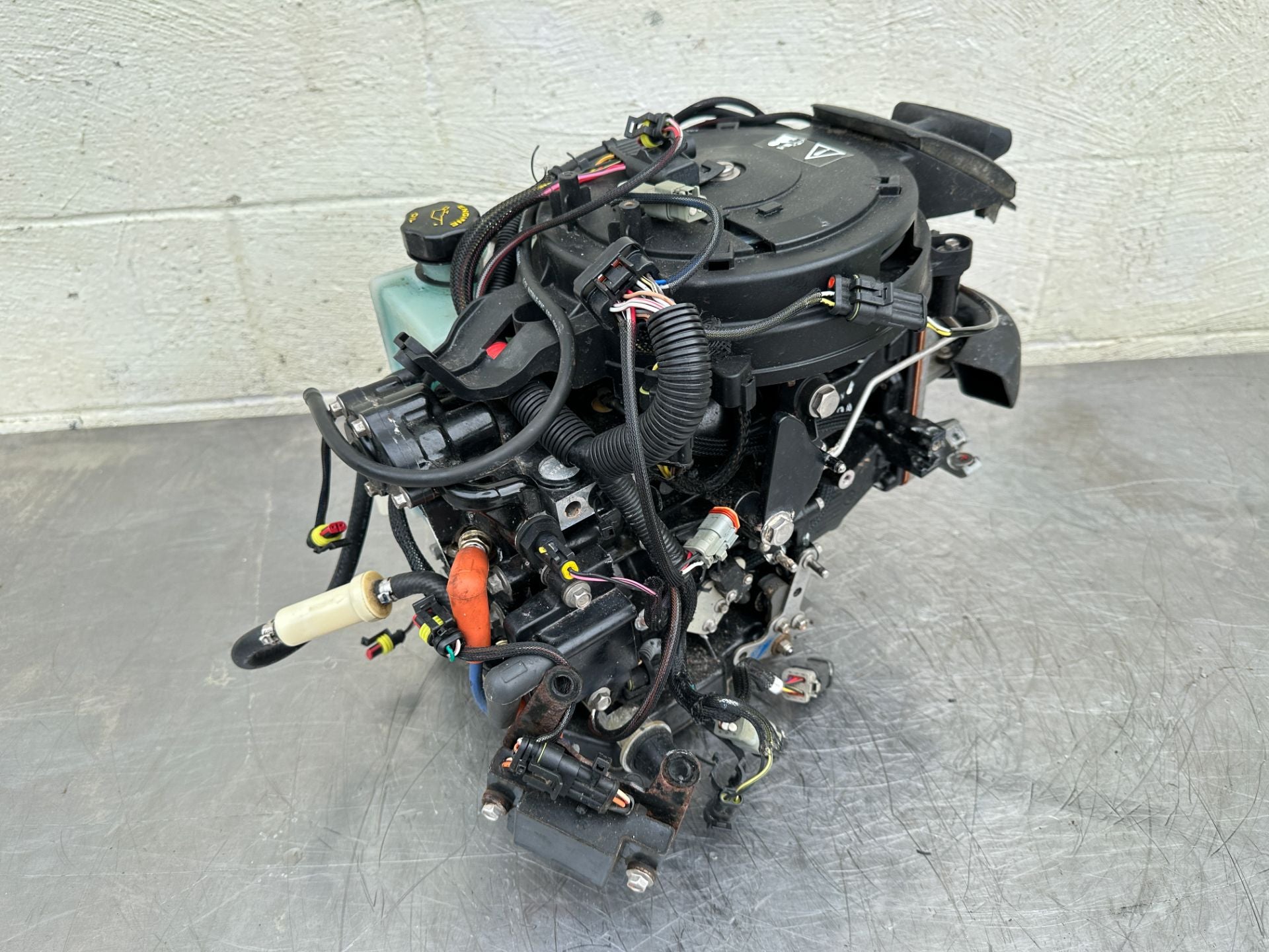 2013 Evinrude 30 HP 2 Stroke Outboard Powerhead 5008167 OEM