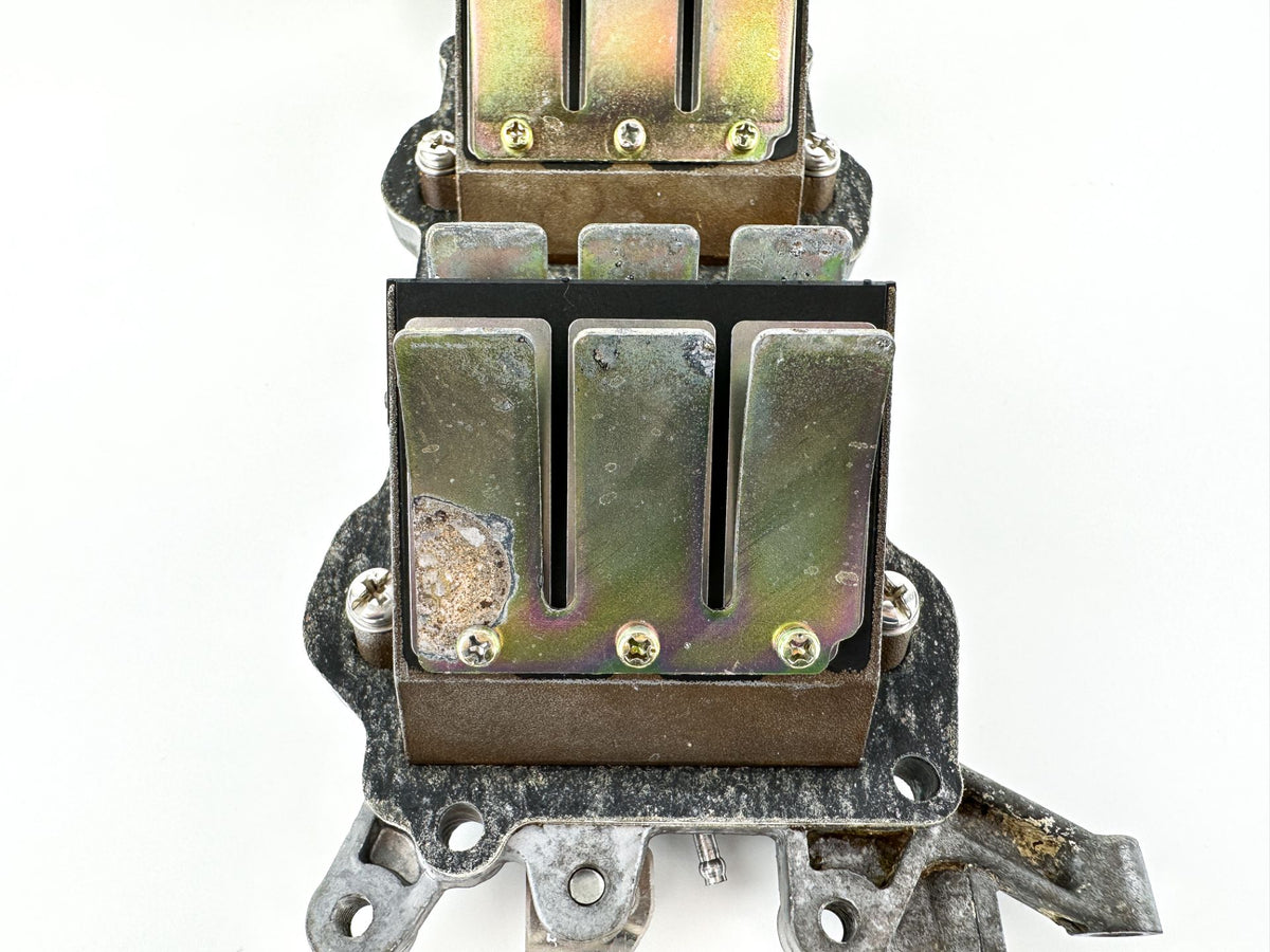 2003 Yamaha 70 HP 2 Stroke Outboard Reed Valve Assembly 6H3-13610-00-00 OEM